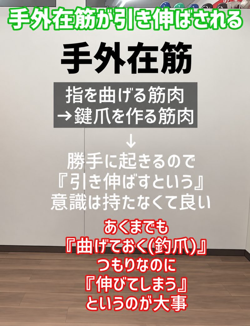 手外在筋が引き伸ばされる